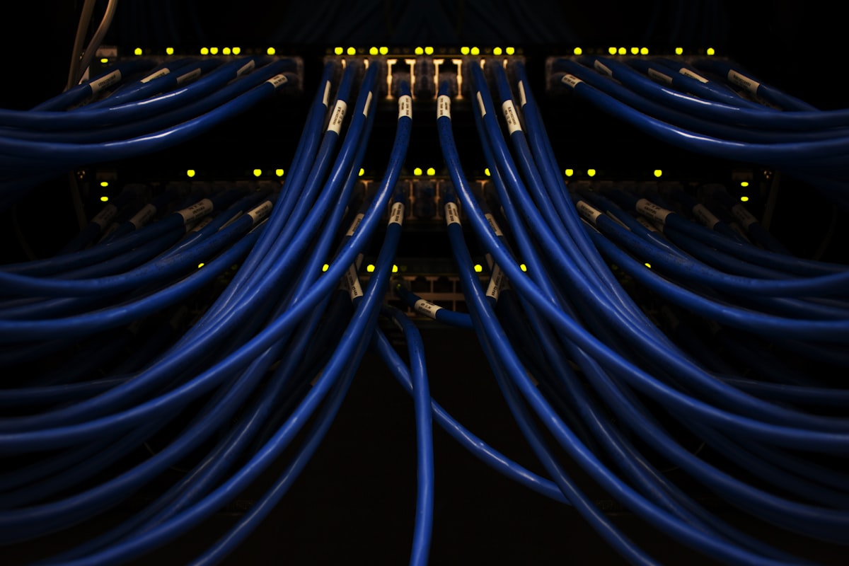 Professional network rack with structured cabling